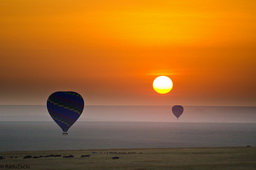 Read more about Sunrise and Balloons